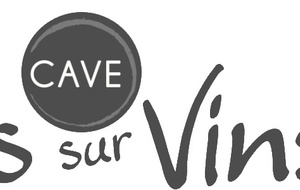 6a10572f77b86_vinssurvins.jpg